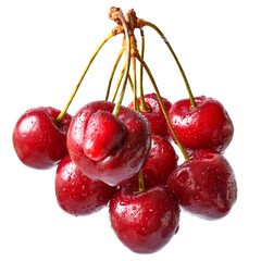 Bunch sweet cherry close up isolated
