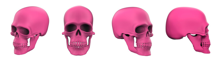 Set of images of pink skulls. 3d rendering  pink skull