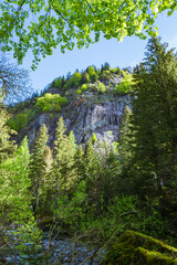Spring in the woods of Val Masino, in the Italian Alps, near the town of San Martino, Lombardy, Italy - May 2021.