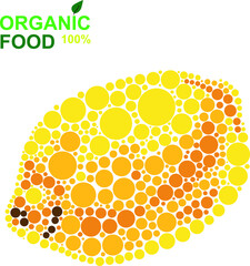 organic food lemon natural