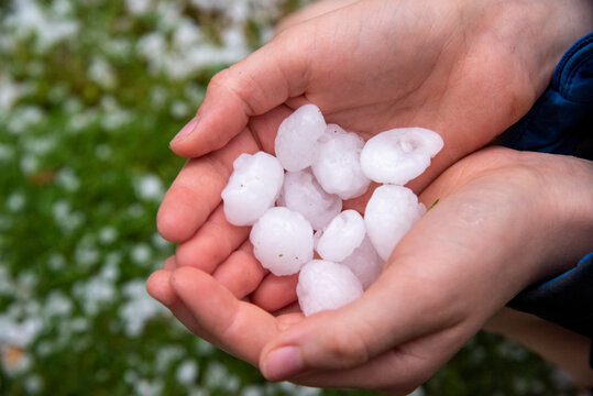 hand holding big ice balls after just after a hail storm in Switzerland