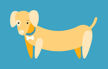 Cute adorable dachshund dog hound puppy flat vector illustration. Orange gradient dachshund with white bone medal on its aquamarine blue collar. Ready minimalistic flat logotype design element.