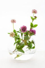 summer wild medical flowers and herbs in glass jar. alternative medicine