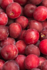 Plum background. Red fresh ripe plums are boxed at the market.