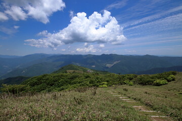 梶ヶ森　山頂から山荘を望む　初夏（高知県　大豊町）