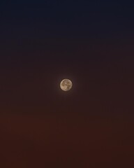 The moon has just risen into the sky in gentle tones.
