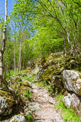 The mountains, Pastures and woods of the val di mello during spring, near the town of San martino, Lombardy, Italy - May 2021.