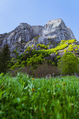 The mountains, Pastures and woods of the val di mello during spring, near the town of San martino, Lombardy, Italy - May 2021.