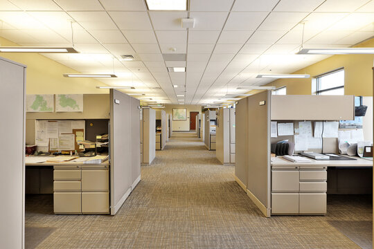 Empty hallway in modern office business building with cubicles and shelves
