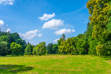 Summer in the beautiful natural park