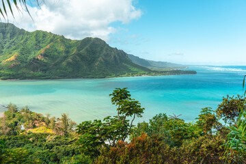 Fototapeta na wymiar Paradise Hawaii