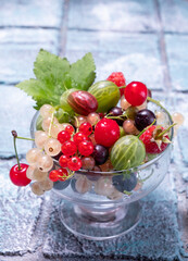A glass with various garden berries close-up on a blue tile.