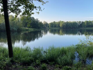 Fototapeta na wymiar Kleiner See im Bürgerpark Mosse (Bocholt, Westmünsterland), eng umstanden von Grün und Bäumen, die sich auf der Wasseroberfläche spiegeln. Blauer Himmel kurz nach Sonnenaufgang.