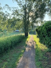 Fototapeta na wymiar Pfad entlang der Alten Aa in Bocholt (Westmünsterland), gesäumt von Hecken. Licht- und Schattenspiel der durch die Äste der Bäume fallenden Sonnenstrahlen