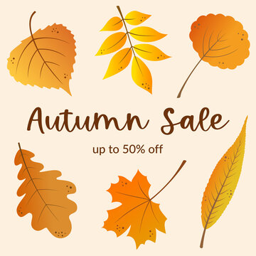 Premium Vector  Autumn golden maple leaf clipart