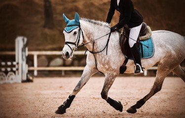 A beautiful dappled gray horse with a blue saddlecloth on its back and a rider in the saddle...
