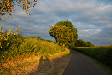 Naklejka premium the light of the setting sun, shadows, countryside, road, nature