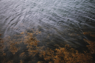 spider web in the morning dew