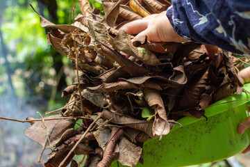 a housewife is carrying tree leaf litter to be burned