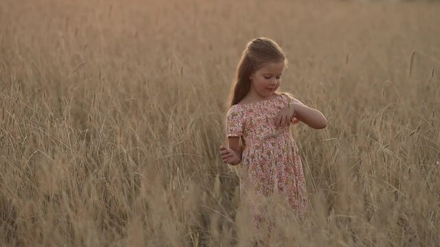 Beautiful young girl 5-6 years old with long blond hair walking in wheat field 