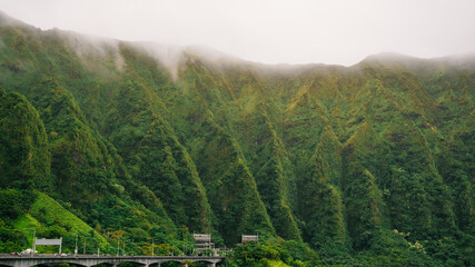 misty morning in the mountains of Oahu Hawaii