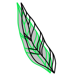 Leaf outline and green color
