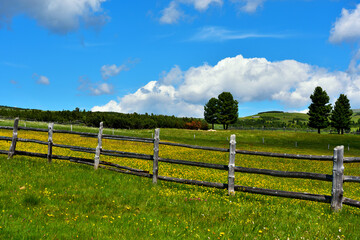 Fototapeta premium alpe di villandro It is the second largest mountain pasture in Europe tyrol italy