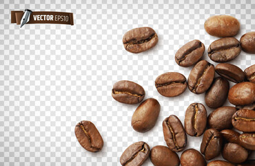 Fototapeta Grains de café vectoriels sur fond transparent obraz