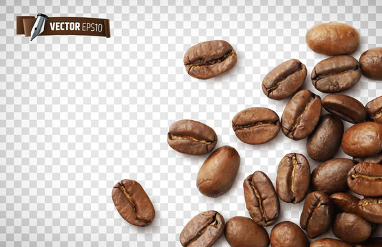 Grains de café vectoriels sur fond transparent