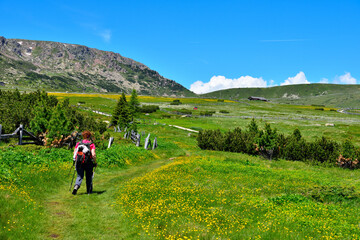 alpe di villandro It is the second largest mountain pasture in Europe tyrol italy