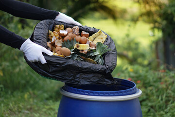 Food scraps in black garbage bag that a gardener is pouring into blue bucket to make compost...