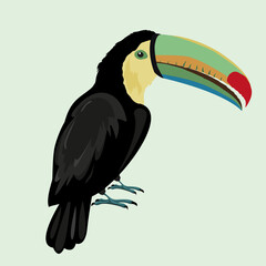 Fototapeta premium Toucan isolated on green background. Exotic birds