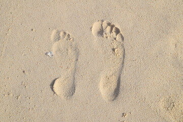 Fototapeta na wymiar sand, beach, footprint, foot, sea, summer, print, nature, walk, footprints, footstep, imprint, step, walking, feet, coast, travel, holiday, texture, mark, vacation, track, trace, barefoot, water