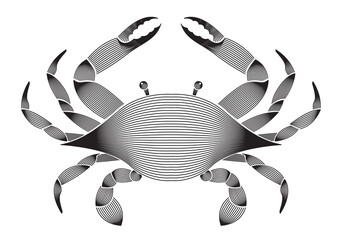 Abstract illustration geometric linear of Crab