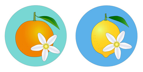 柑橘類の果物と花のアイコンセット。オレンジとレモン。