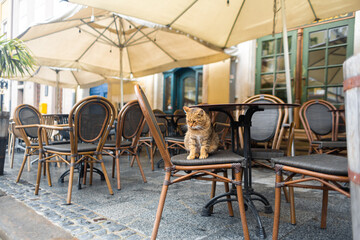 Cozy outdoor restaurant area in the old town
