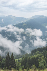 Top view of the mountains in the morning fog. Fog in the mountains