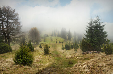 Autumn landscape of foggy morning in the mountains