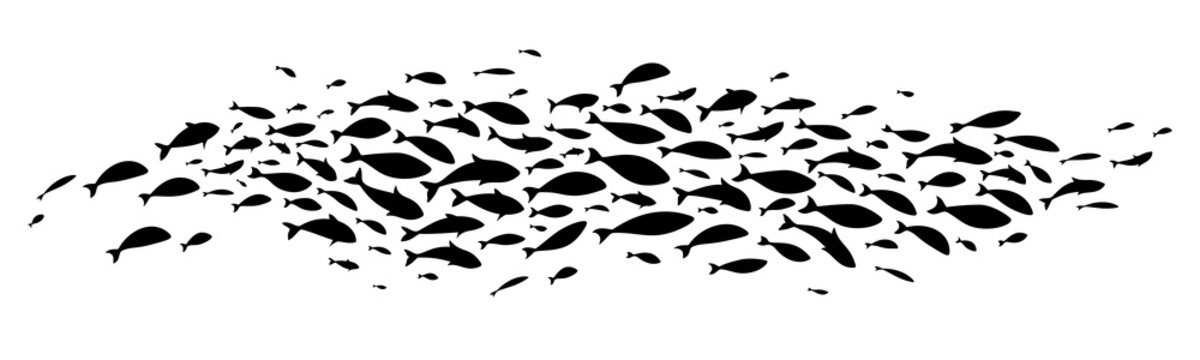 Silhouette of large school of fish. Vector illustration