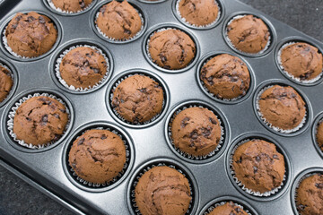Just Baked Chocolate Muffins In Baking tray.