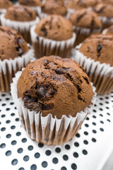 Just Baked Chocolate Muffins In Baking tray.