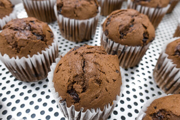 Just Baked Chocolate Muffins In Baking tray.