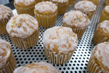 Madera Cupcakes are cooled on a wire rack to cool.