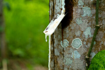 Dried rubber stain or latex on the blade