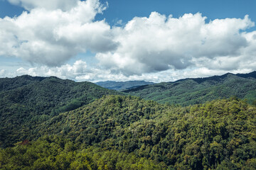 mountains and trees during daytime