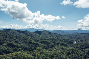 Obraz premium mountains and trees during daytime