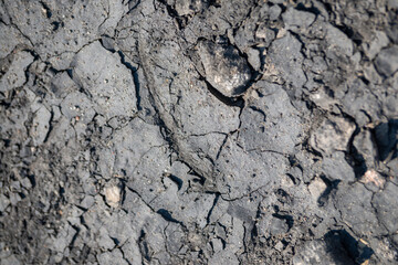 Dry soil and cracked earth background texture.