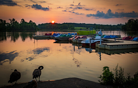 Silhouettes of ducks in front of Jacobson Park Lake in Lexington, Kentucky during dramatic sunrise