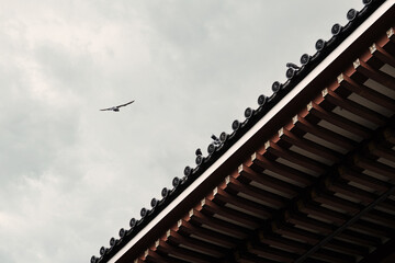 Fototapeta na wymiar 日本の寺の屋根