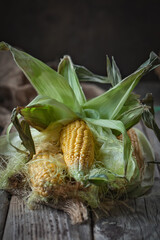 Fresh juicy corn with leaves on a wooden table. Autumn background. Selective focus.